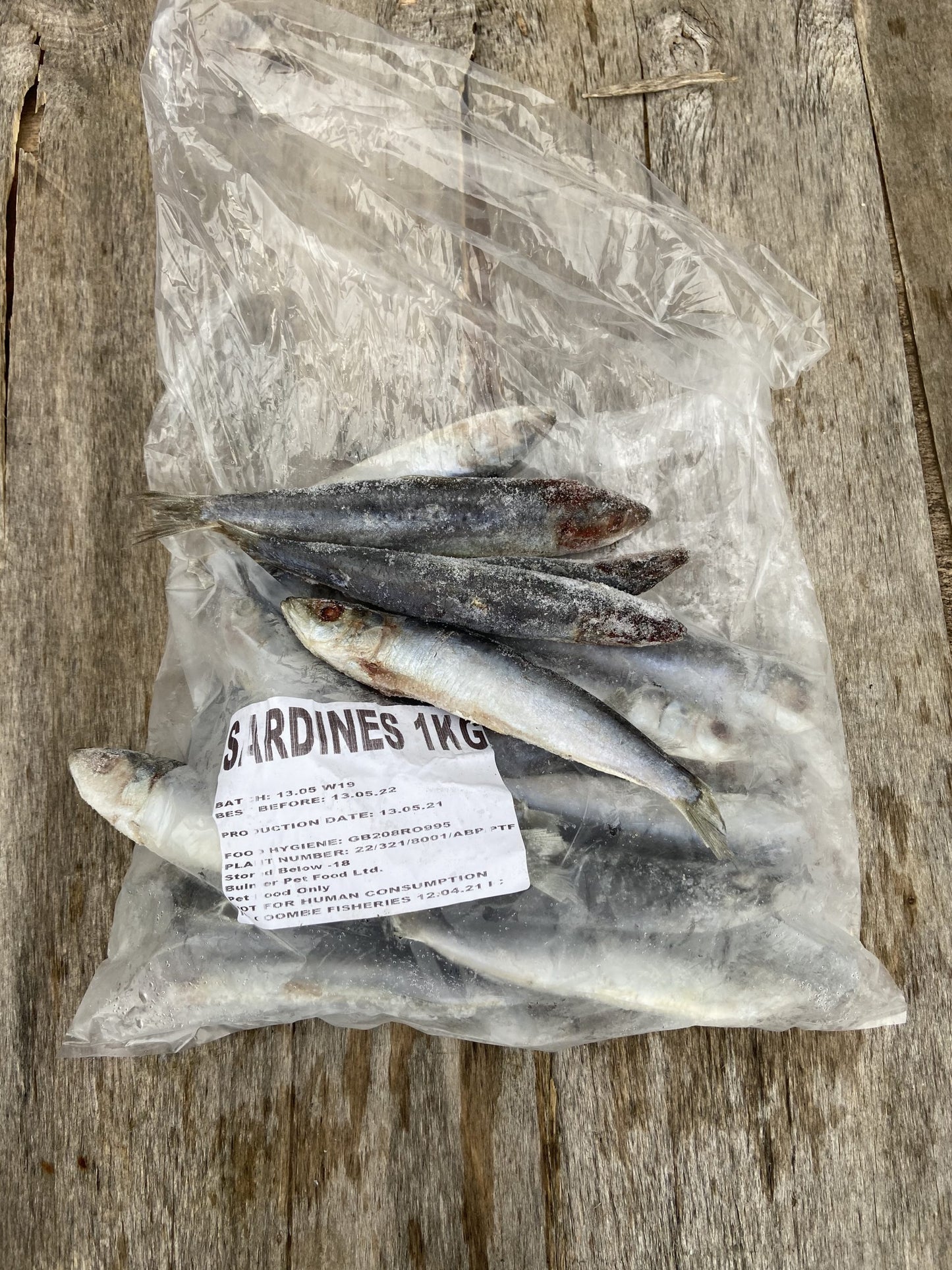 1kg frozen sardines
