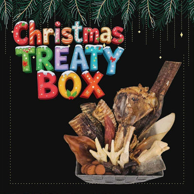 The Christmas treaty box