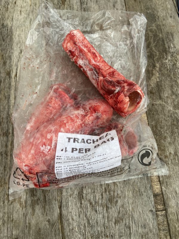 Frozen beef trachea (pack of 4)