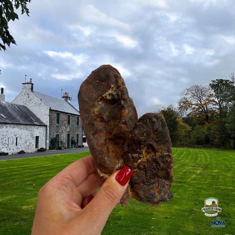 1kg Beef Testicles