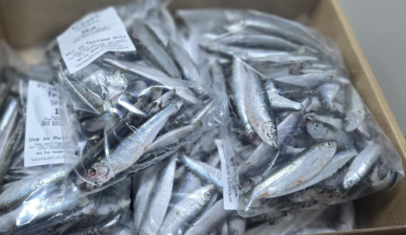 1kg frozen sprats