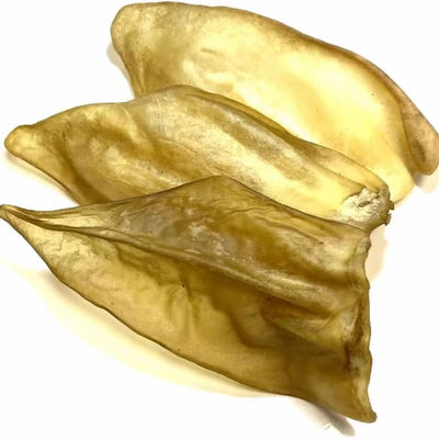Pack of 10 Hairless cow ears