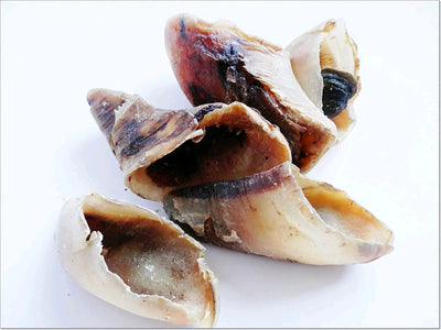 Bag of 10 empty Beef Hooves