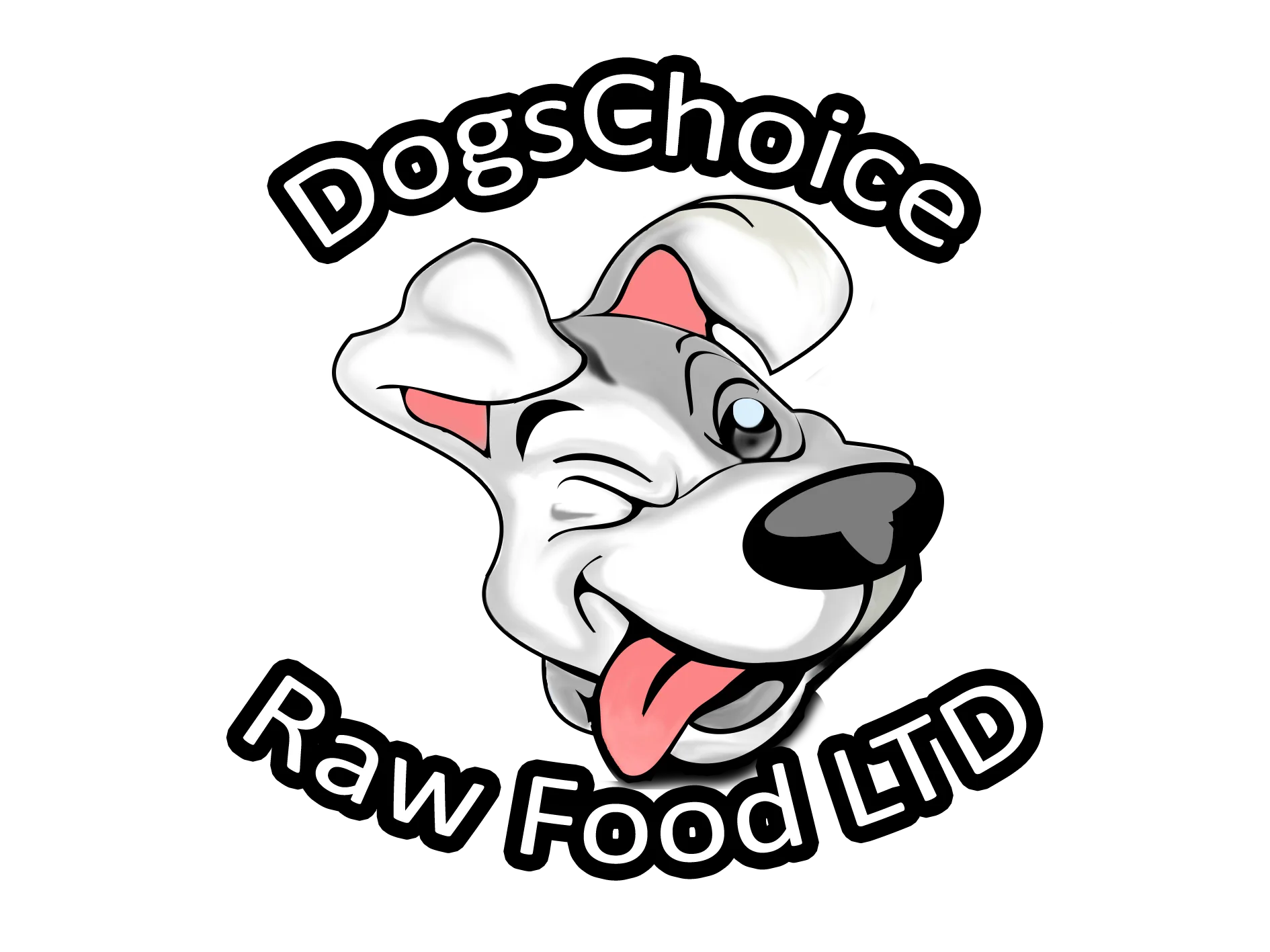 dogs choice raw