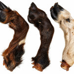 10 Hairy goat feet
