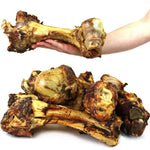 Extra Large Jurassic Bone Natural Chew for Dogs
