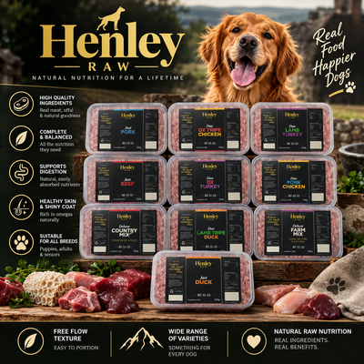 12 henley raw dog food tubs