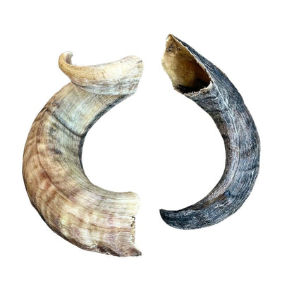 Fureverpets Natural Lamb Horns Bones Dog Treat