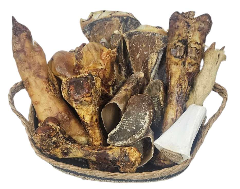 Long Lasting Value Heavy Chewer Box