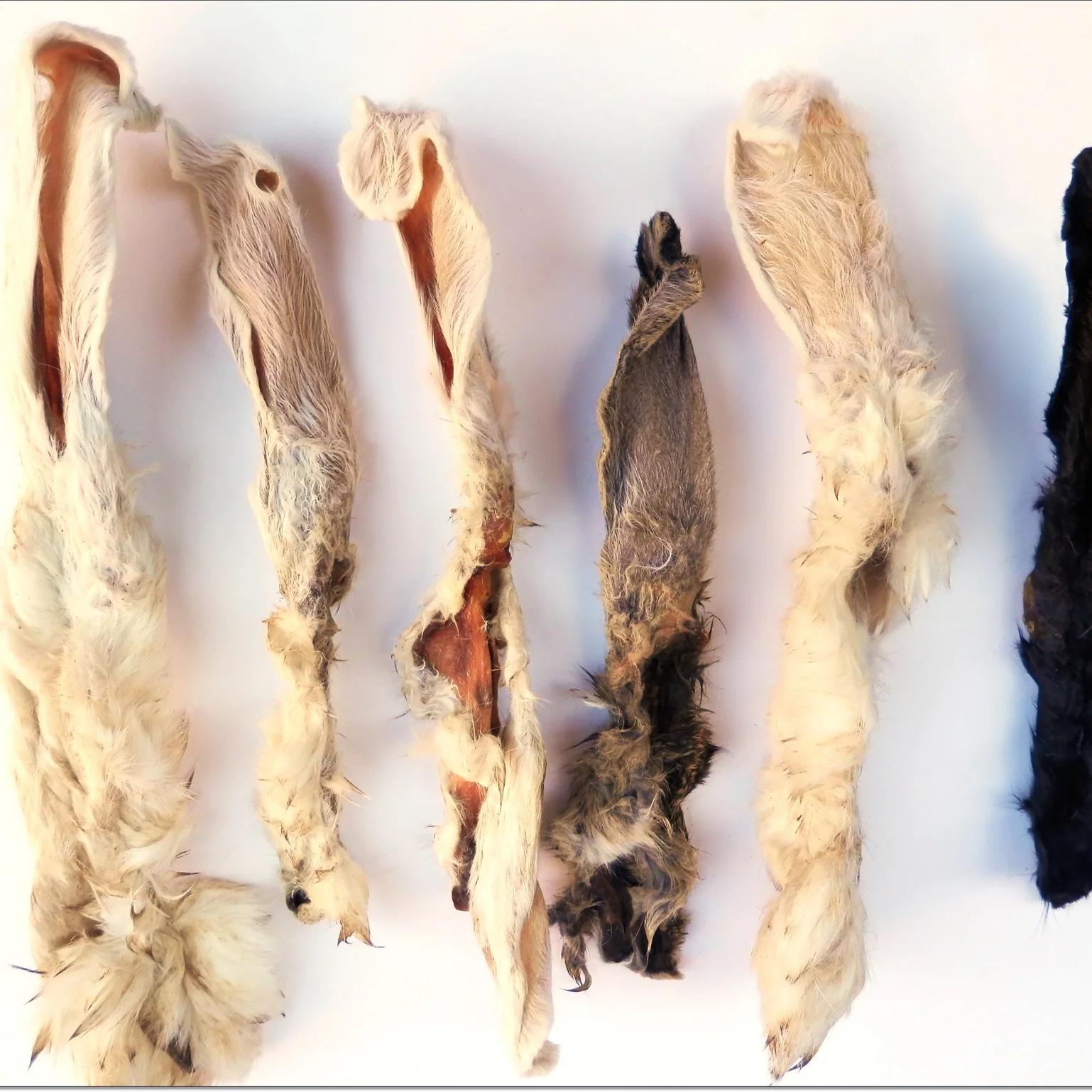 Rabbit ear with fur