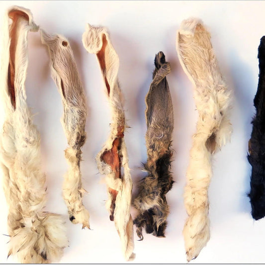 Rabbit ear with fur