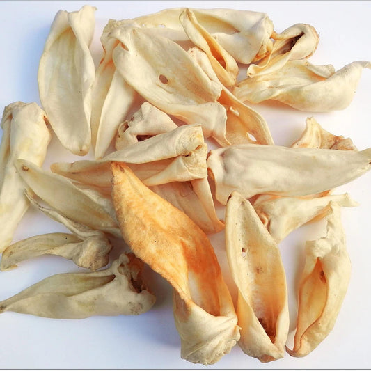 White lamb ear