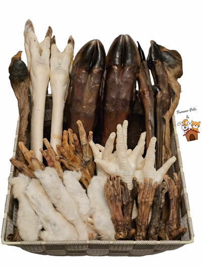 The Feet Box