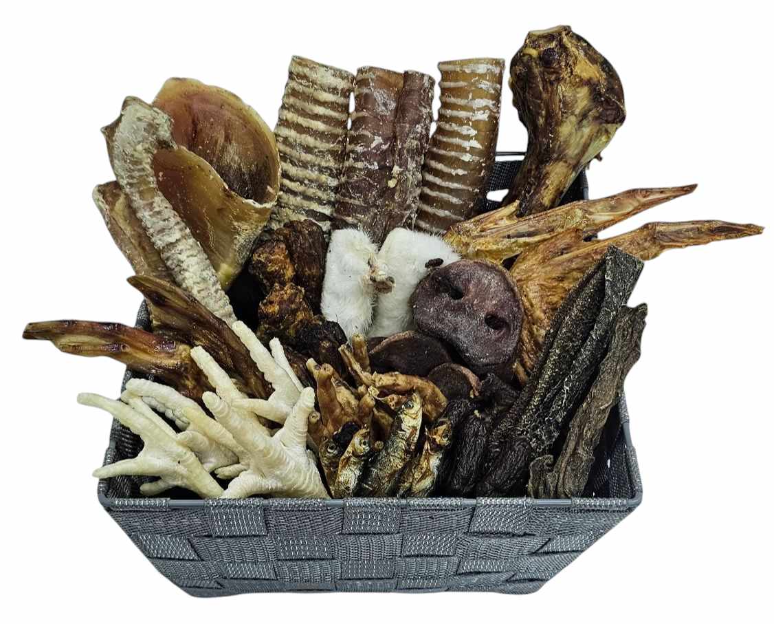 NEW Deluxe 50 Item Box