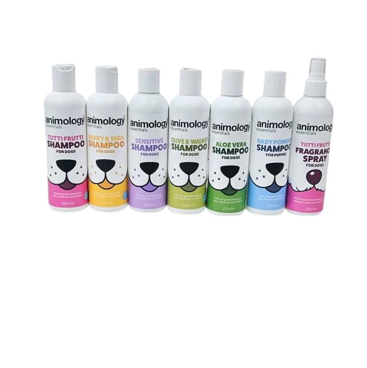 Animology Scented Fragrance Shampoo 500 ML