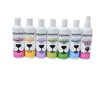 Animology Scented Fragrance Shampoo 250 ML