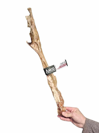 Anco Giant Jumbo Bully muscle stick