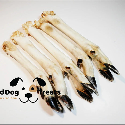 White roe leg