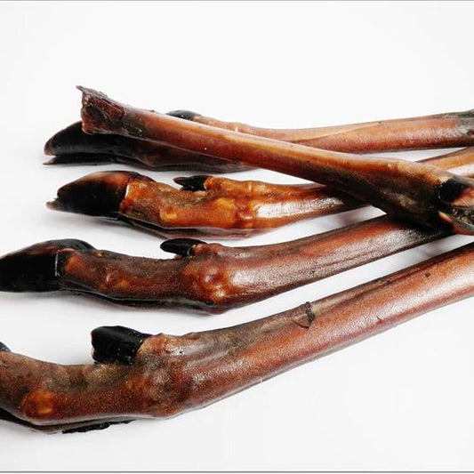 Roe leg