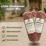 Puppy little champions Junior mix