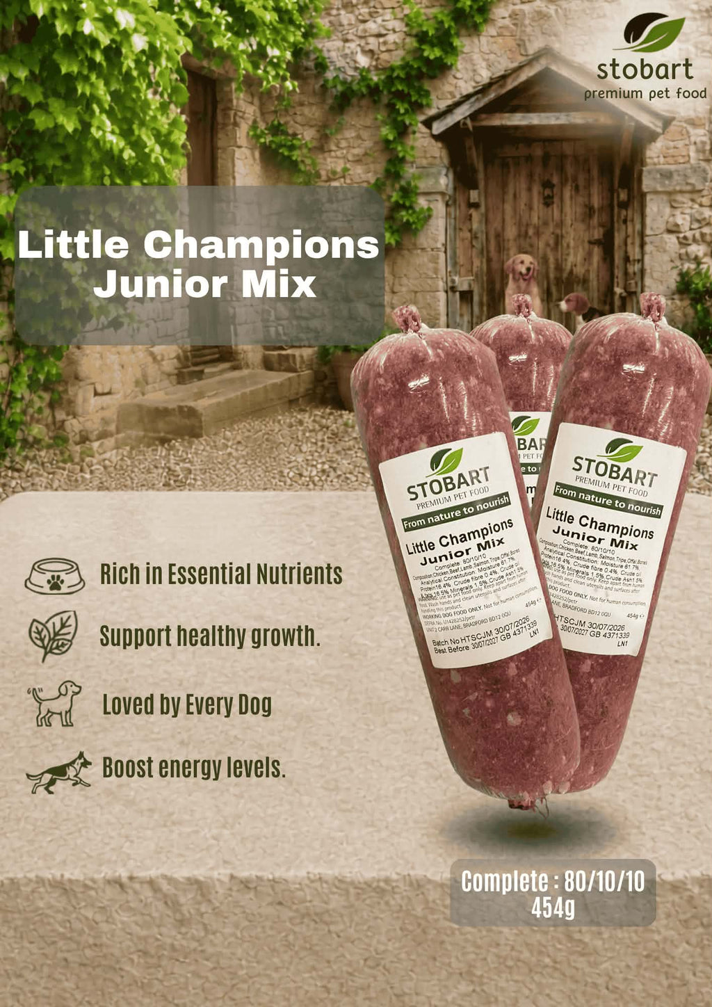Puppy little champions Junior mix