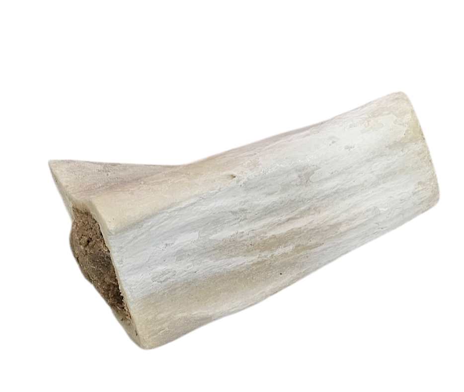 Filled sterelised bone