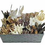 Absolute Bargain New 100 Breeder Box
