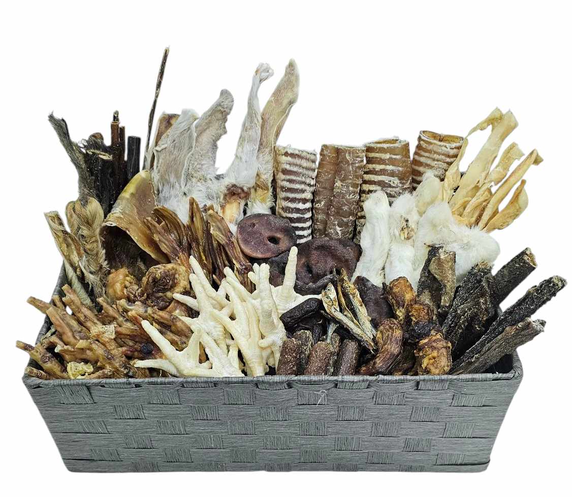 Absolute Bargain New 100 Breeder Box