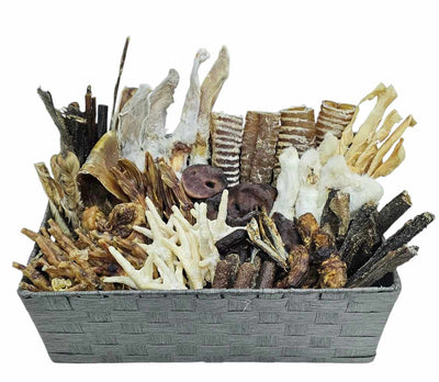 Absolute Bargain New 100 Breeder Box