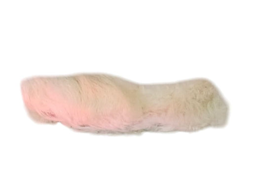 Hairy rabbit foot