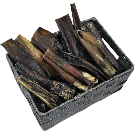 Pack of 5 Camel Skin