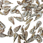 Dried shrimps