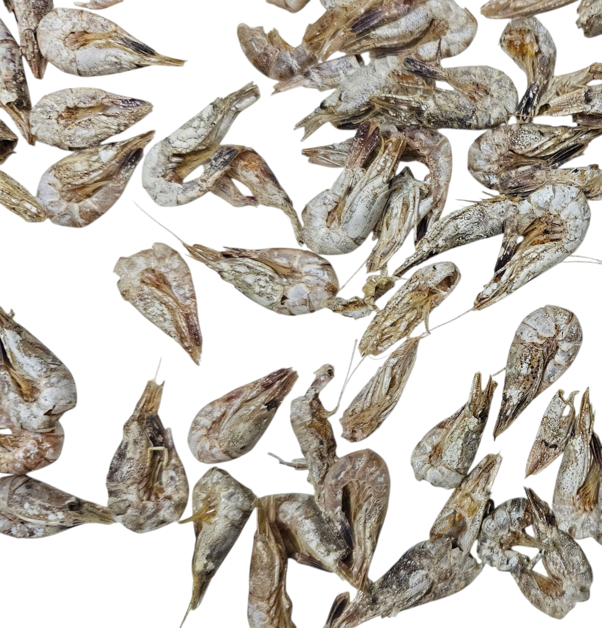 Dried shrimps