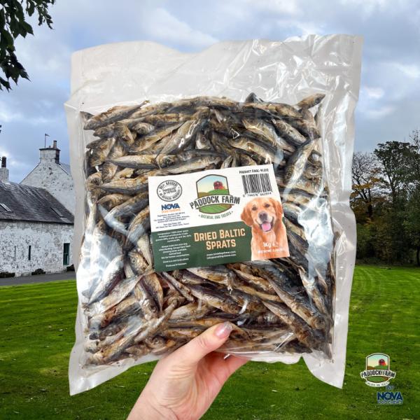 1kg Dried Baltic Sprats Bulk Bag