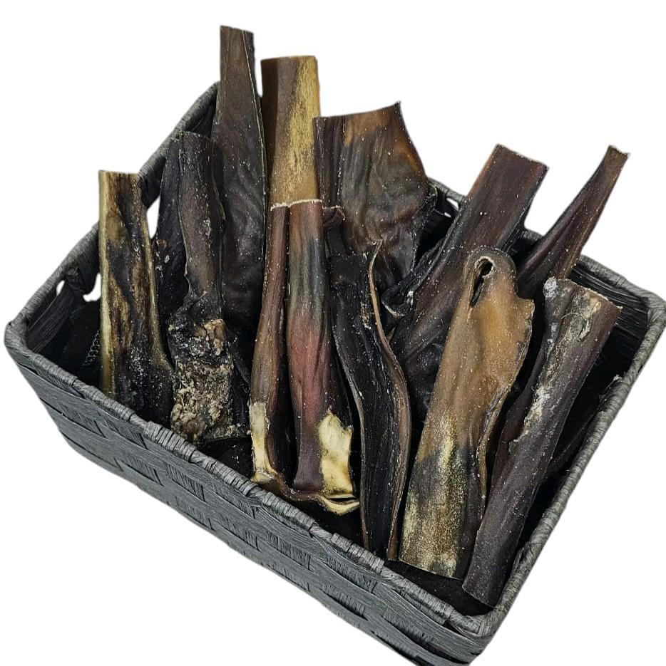 Pack of 5 Camel Skin