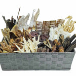 Absolute Bargain New 100 Breeder Box