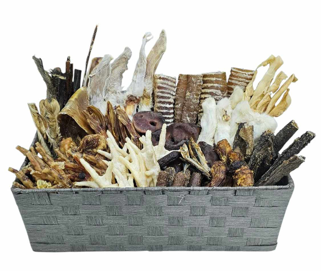 Absolute Bargain New 100 Breeder Box