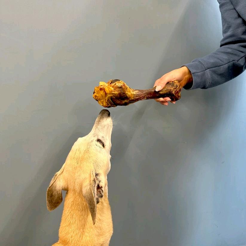 Paddock Farm Pack of 10 Femur Bones