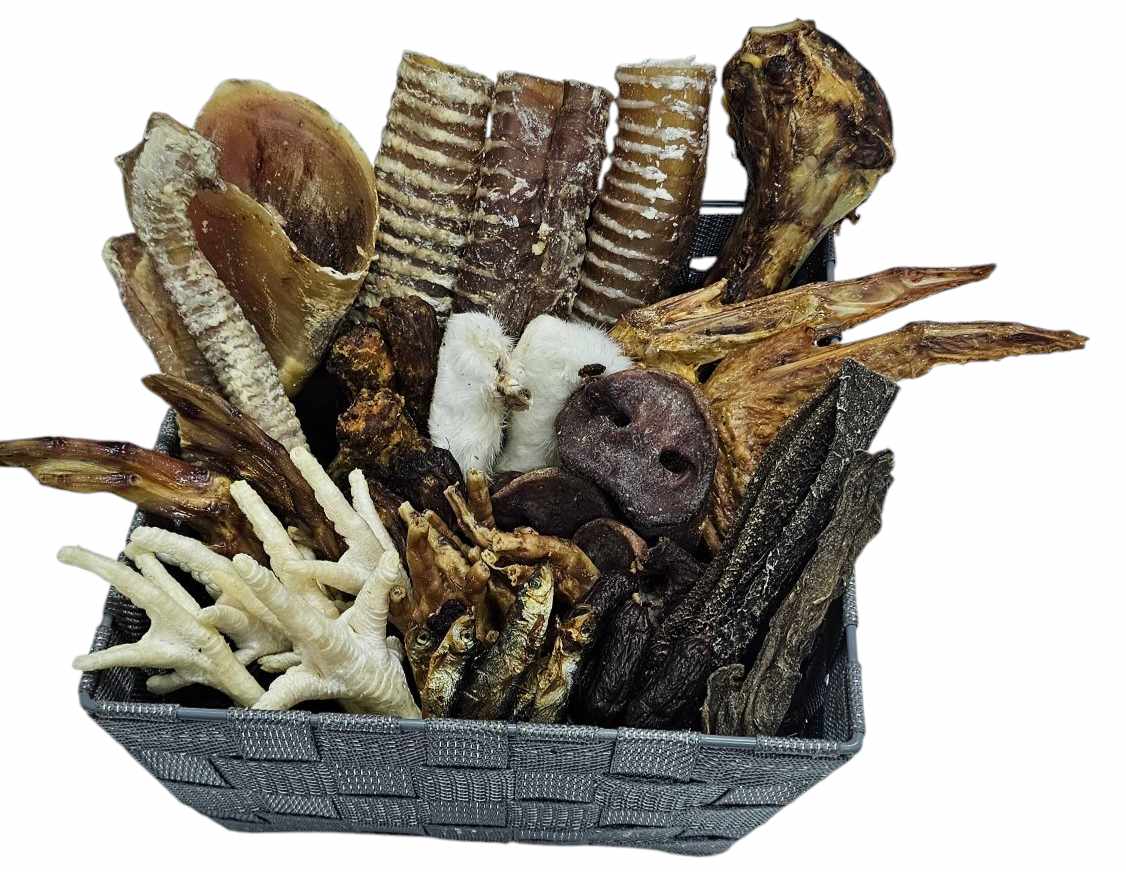 NEW Deluxe 50 Item Box