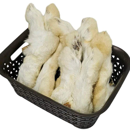 Pack of 10 Rabbit Feet with Hair
