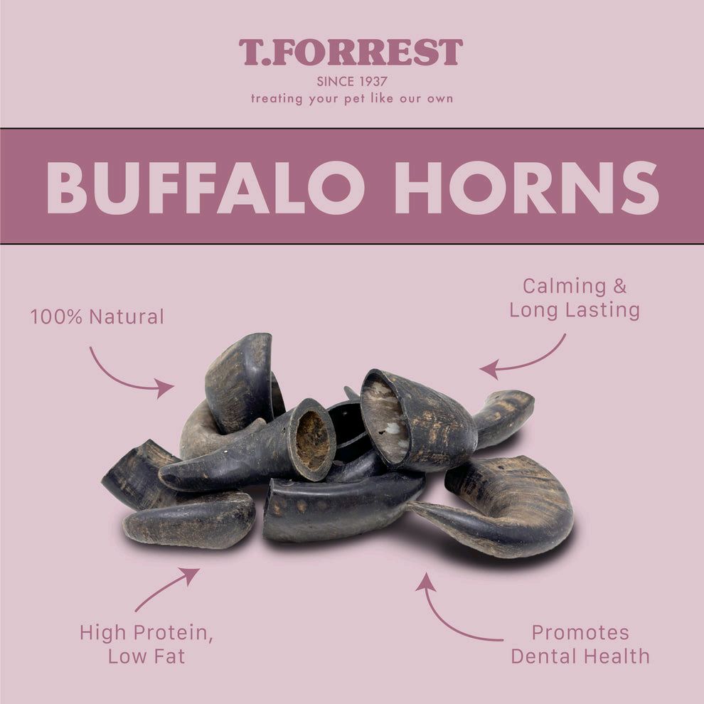 Buffalo Horn Long Lasting Heavy Chewer Natural Dog Treat