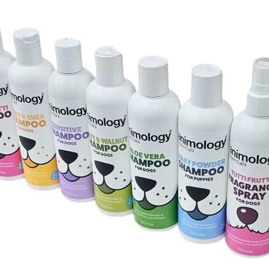 Animology Scented Fragrance Shampoo 500 ML