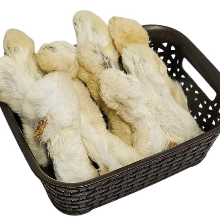 Pack of 10 Rabbit Feet with Hair