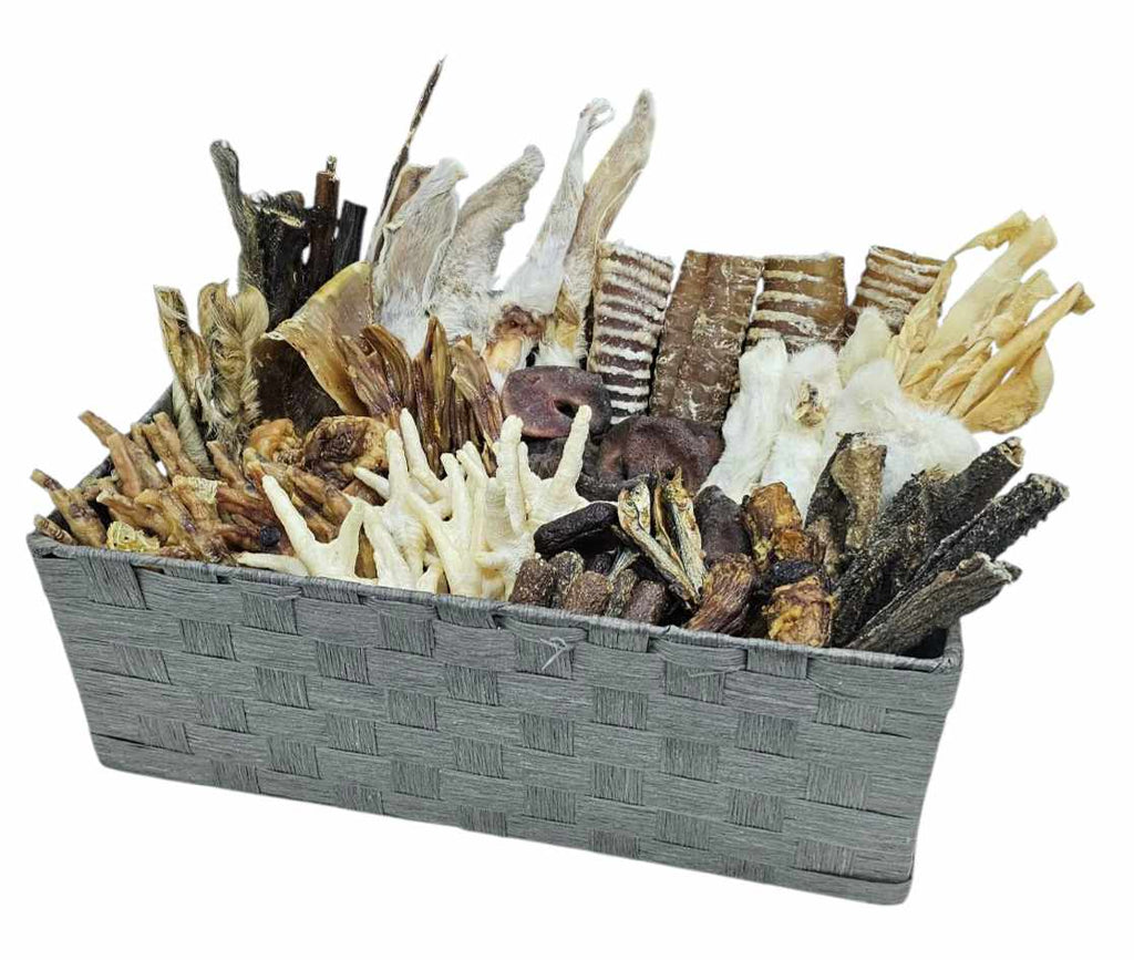 Absolute Bargain New 100 Breeder Box