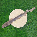 Whole dried dog fish (shark)