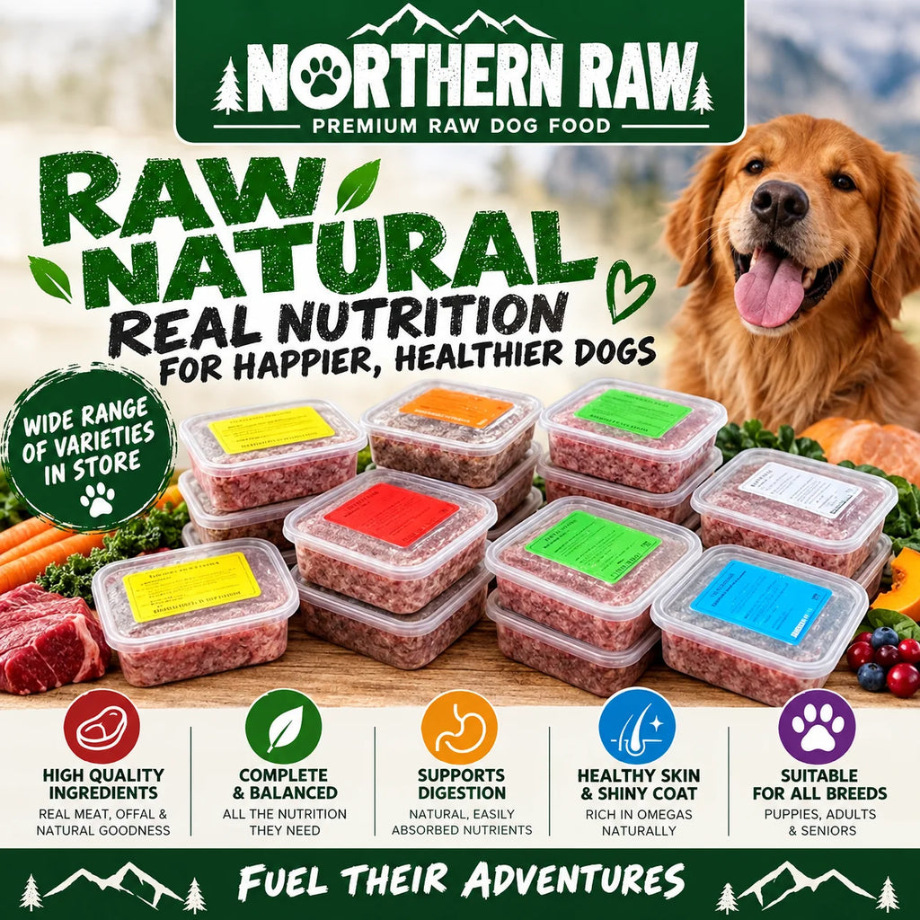 10 pack nothern raw dog food