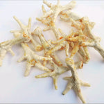 1kg Puffed Chicken Feet