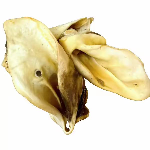 Pack of 10 Hairless cow ears