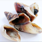 Bag of 10 empty Beef Hooves