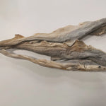 Whole dried dog fish (shark)